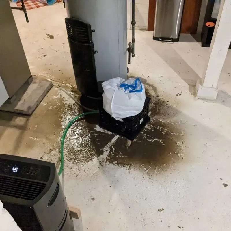 Sewage Backup Cleanup Service in Morgan County, MO